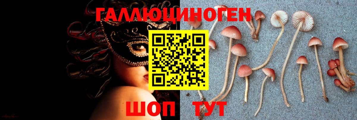 Рославль  Псилоцибиновые грибы прущие грибы  Галлюциногенные грибы мухоморы  Вход с VPN 